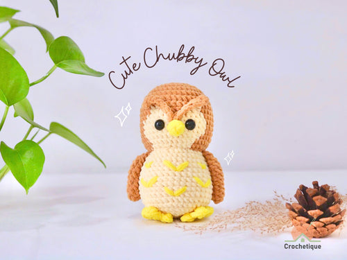 Cute Chubby Owl Crochet Pattern