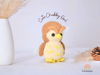 Cute Chubby Owl Crochet Pattern