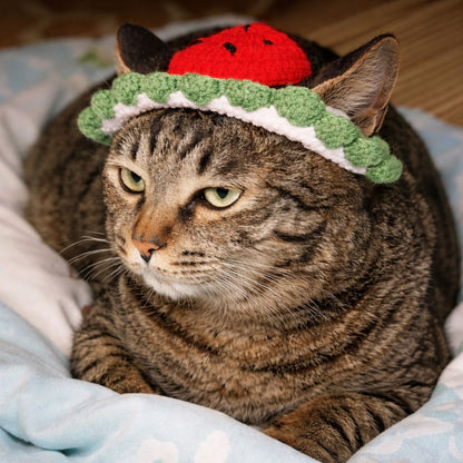 Watermelon Cat Hat Pattern