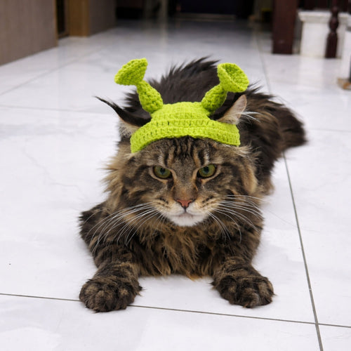 Alien Cat Hat Pattern