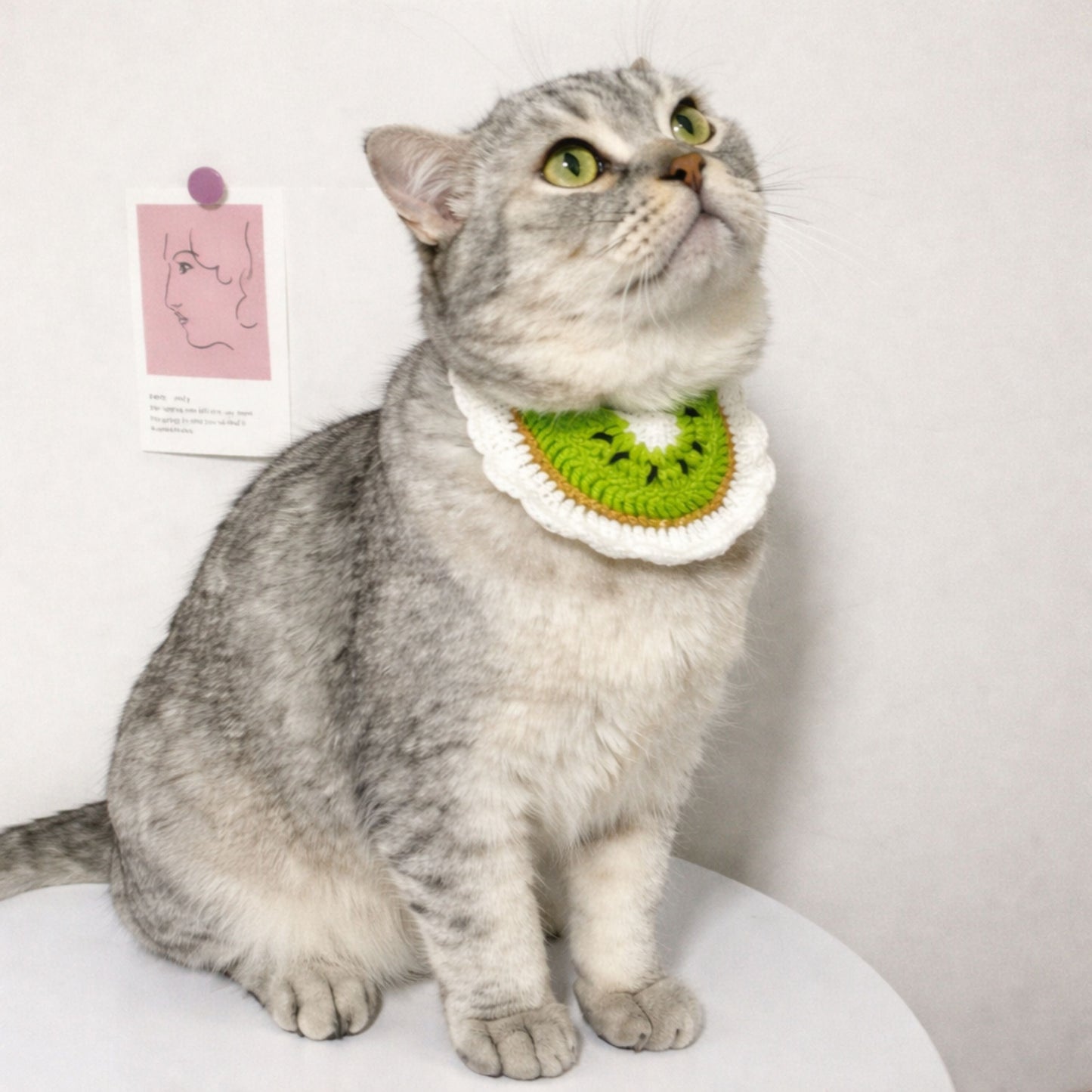 Kiwi Cat Collar Pattern