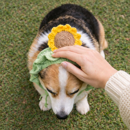 Sunflower Corgi Hat Pattern